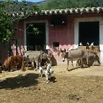 La Fattoria Delle Tartarughe * San Gregorio