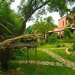 La Fattoria Delle Tartarughe Feriegård San Gregorio (Sardinia)