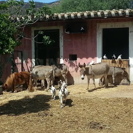 La Fattoria Delle Tartarughe * San Gregorio (Sardinia)