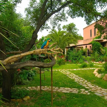 La Fattoria Delle Tartarughe Bauernhof San Gregorio (Sardinia)