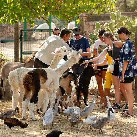La Fattoria Delle Tartarughe * San Gregorio (Sardinia)