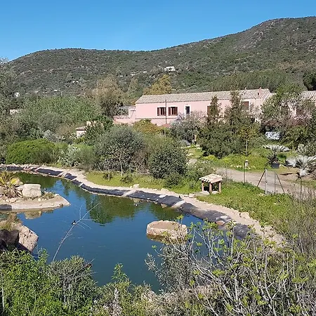 Bauernhof La Fattoria Delle Tartarughe *