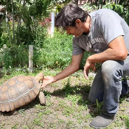 Farmház La Fattoria Delle Tartarughe