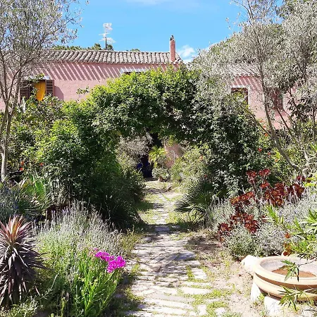 La Fattoria Delle Tartarughe 팜스테이 San Gregorio (Sardinia)