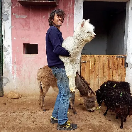 La Fattoria Delle Tartarughe *