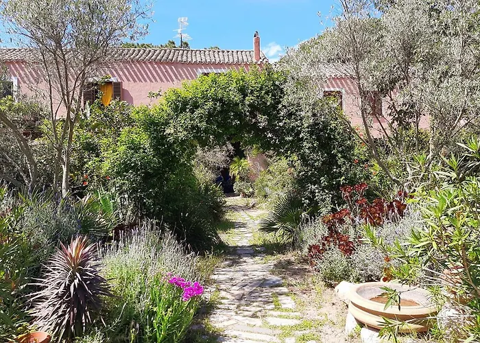 La Fattoria Delle Tartarughe ファームステイ San Gregorio