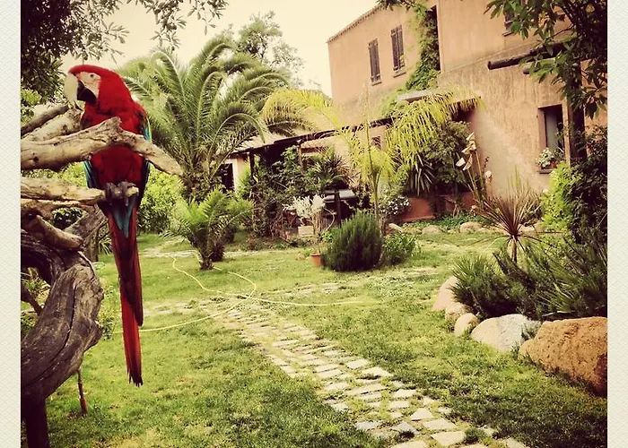 ファームステイ La Fattoria Delle Tartarughe *