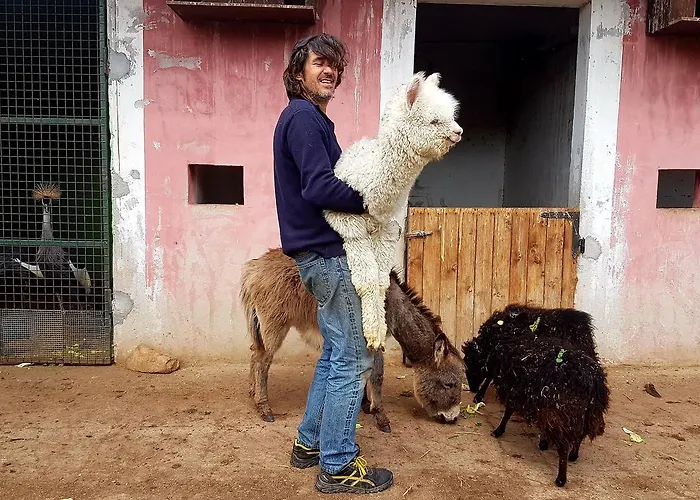 La Fattoria Delle Tartarughe *