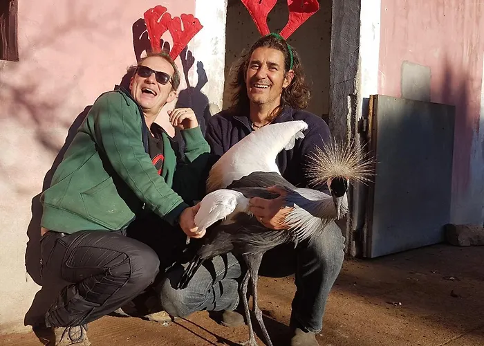 ファームステイ La Fattoria Delle Tartarughe
